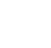 Logo EVOGAS